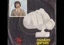 Müslüm Gürses: Dünya Ne Hale Gelmiş (Çınçın Plak 712 / 1978)