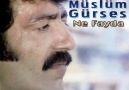 MÜSLÜM GÜRSES - NE FAYDA - 1982 - LP KAYIT