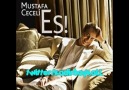 Mustafa Ceceli-Alametifarika