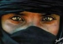 Mustafa Cihat -- Zeydin Gözleri