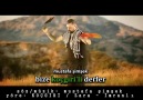 MUSTAFA ŞİMŞEK - BİZE KOÇGİRİ'Lİ DERLER