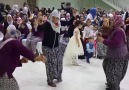 Mustafa Tereci Kaşık Oyun Havası Nevşehir Düğünleri