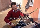 MUSTAFA TERECİ: NACİYE  NİĞDE