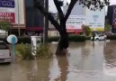 Mustafa Tuzkaya - Bugün İzmir Karabağlar. Sağnak yağış...