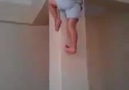 Must Watch Real Spider Kid