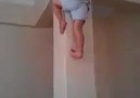 Must Watch Real Spider Kid