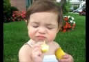 Must Watch :- When a Baby Tries to eat Lemon for the first time