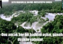 MUTAFFİFİN SURESİ ŞEYH MANSUR SALİMİ