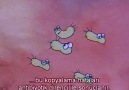 Mutasyonlar,Doğal seçilim ve Bakteri Direnci