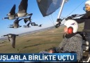 Müthiş deneyim! Kuşlarla birlikte uçtu