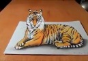 Müthiş 3D ve illüzyonlu kaplan çizimi  Drawing an impressive 3D Tiger