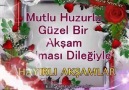 Mutlu Huzurlu Akşamlar