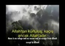 Mutlu Olan Kimdir? Sheikh Şangty