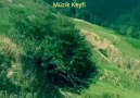 MÜZİK KEYFİ - Ses Verin Sesime Dağlar Benim Guzum Orda mıdır. . Facebook