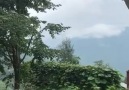 MÜZİK KEYFİ - Sunam Türküsü Hikayesi İle... Facebook