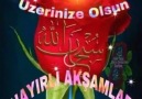 MÜZİK KEYFİ - (v)(.)Hayırlı Akşamlar...