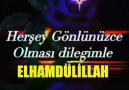 Müzik Severler - MUTLU AKŞAMLAR