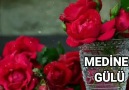 Müziksiz ve Çalgısız İlahiler - İzzet Yıldız - Medine Gülü Facebook