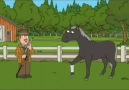 My Favorite Scene In Family Guy