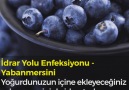 Mynet Yemek - Ağrılara İyi Gelen Yiyecekler Facebook