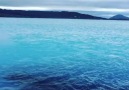 Myvatn Nature Bath in Iceland Video via @anikducf (Instagram)