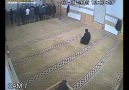 Namaz Kılan Adamın Taburesini Araklayan Velet