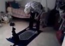 Namaz Kılan Adam ve Kedi