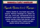 Namaz Öğretmeni İlgili ayet ve hadisler Bölüm 10