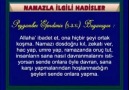 Namaz Öğretmeni İlgili ayet ve hadisler Bölüm 10