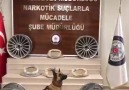 Narkotik köpeği Şila&kaçış yok!GİZLİ DOSYA