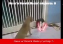 Nasusla Warwick Master yi Sıkıştırmaya kalkarsa :D