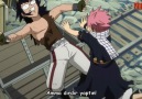 Natsu & Gajeel