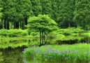 Nature-Doğa