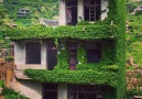 Nature has completely reclaimed this Chinese village