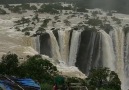 Nature Page - Jog Falls in India