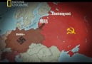 Nazi Almanyası'nın Sovyetler Birliği'ni İşgali