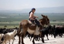 Nazlı Yare Gidemedim Kaç YıldırYollar Beni Ben Yolları Unuttum