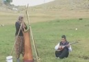 Nazmi Ünal - Ayran