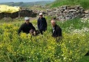 Ne bayramı gardaş Sızlıyor solum Toprağa BABAMI verdim Bu sene ..