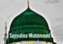 Nebiler Nebisi Canım Muhammed