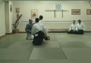 Nebi vural sensei - Suwari