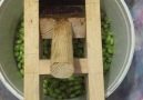 Nebi Yıldız - Organik milli ve yerli zeytin kırma makinası...