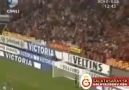 Necati'nin Schalke'ye attığı gol !