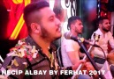 Necip Albay-By Ferhat-Aldanma-Gel Gel -Aptalsın Çingensin