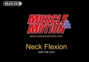 Neck Flexion
