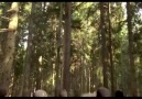 Ne Cüneyt Arkın filmleri ne Hint filmleriBu başka bir şey.