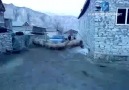 Neden ilerliyemiyoruz?