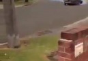 neighborhood drift