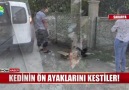 Ne istiyorsunuz bu hayvanlardanKediye işkence edip ön ayaklarını kestiler!