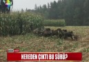 NEREDEN ÇIKTI BU SÜRÜ